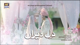 Dil-e-Veeran Episode 63 - 13th Aug 2022